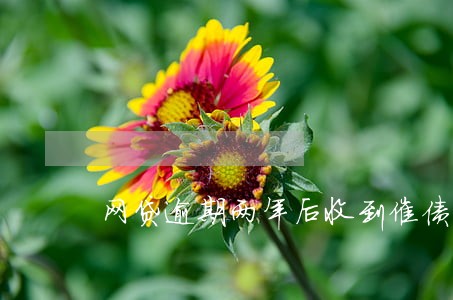 网贷逾期两年后收到催债电话 网贷逾期两年后收到催债电话