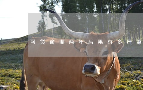 网贷逾期两年后果有多严重 网贷逾期两年后果有多严重
