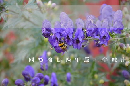网贷逾期两年属于金融诈骗吗 网贷逾期两年属于金融诈骗吗