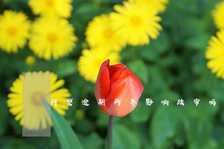 网贷逾期两年影响政审吗 网贷逾期两年影响政审吗
