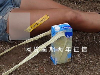 网贷逾期两年征信 网贷逾期两年征信