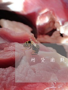 网贷逾期两年征信有呆帐 网贷逾期两年征信有呆帐