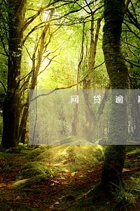 网贷逾期两年怎么买房 网贷逾期两年怎么买房