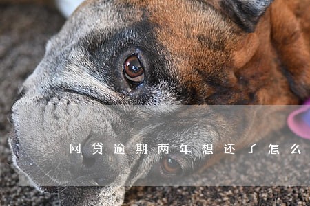 网贷逾期两年想还了怎么还