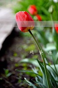 网贷逾期两年消除吗 网贷逾期两年消除吗