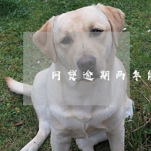 网贷逾期两年能不能办车贷 网贷逾期两年能不能办车贷