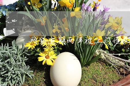 网贷逾期两年被上门催收 网贷逾期两年被上门催收