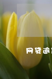 网贷逾期两年被起诉会怎么样 网贷逾期两年被起诉会怎么样