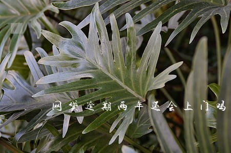 网贷逾期两年还会上门吗 网贷逾期两年还会上门吗
