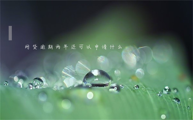 网贷逾期两年还可以申请什么 网贷逾期两年还可以申请什么