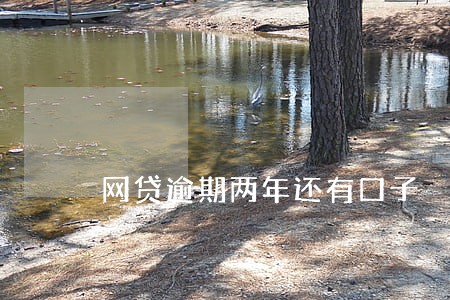 网贷逾期两年还有口子 网贷逾期两年还有口子