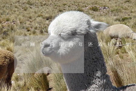 网贷逾期两年还清可以吗 网贷逾期两年还清可以吗