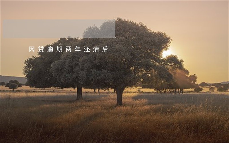 网贷逾期两年还清后 网贷逾期两年还清后