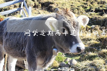网贷逾期两年还清后能再借吗 网贷逾期两年还清后能再借吗