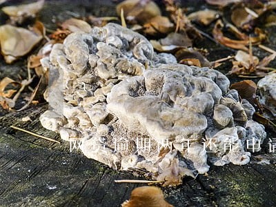 网贷逾期两年还能申请网贷吗 网贷逾期两年还能申请网贷吗