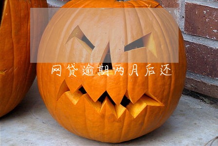 网贷逾期两月后还
