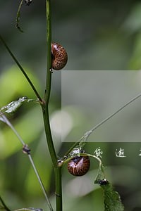 网贷逾期两月能贷么 网贷逾期两月能贷么