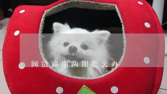 网贷逾期两期怎么办 网贷逾期两期怎么办