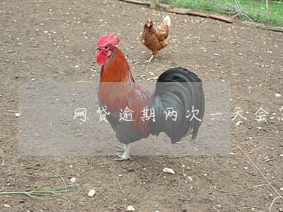 网贷逾期两次一天会怎么样 网贷逾期两次一天会怎么样