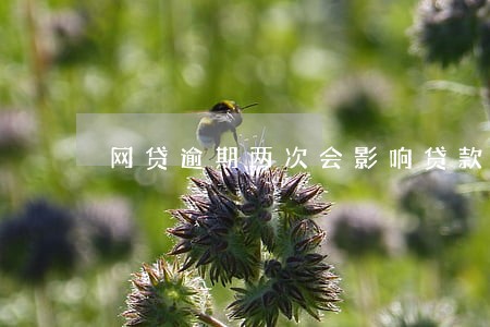 网贷逾期两次会影响贷款吗 网贷逾期两次会影响贷款吗