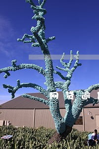 网贷逾期两次但还请算失信吗 网贷逾期两次但还请算失信吗