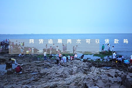 网贷逾期两次可以贷款吗 网贷逾期两次可以贷款吗