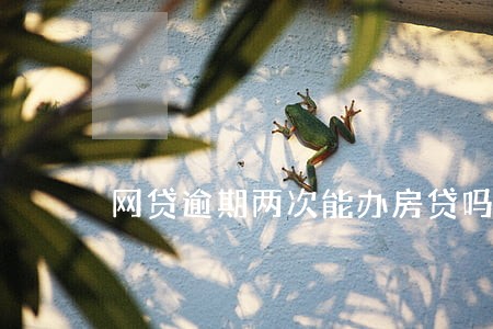 网贷逾期两次能办房贷吗