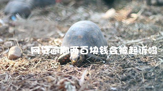 网贷逾期两百块钱会被起诉吗 网贷逾期两百块钱会被起诉吗