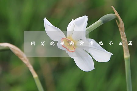 网贷逾期两种情况不用还 网贷逾期两种情况不用还