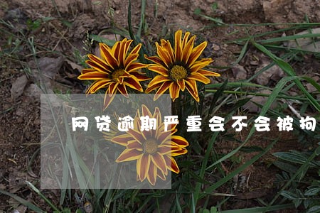 网贷逾期严重会不会被拘留 网贷逾期严重会不会被拘留