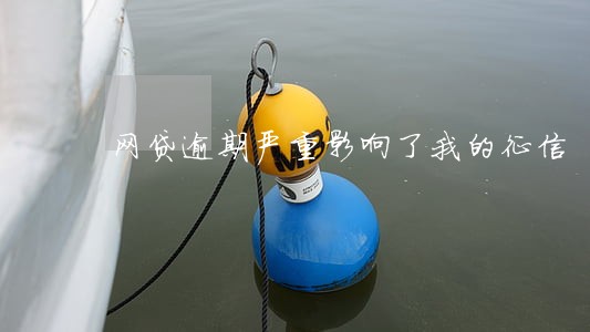网贷逾期严重影响了我的征信 网贷逾期严重影响了我的征信