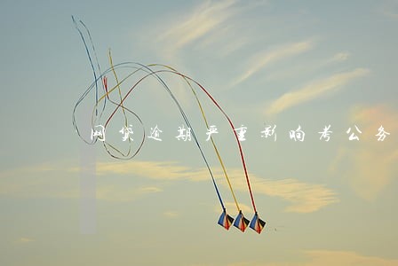 网贷逾期严重影响考公务员吗 网贷逾期严重影响考公务员吗