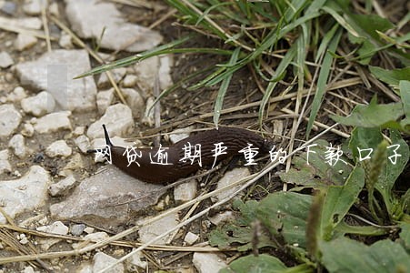 网贷逾期严重的下款口子 网贷逾期严重的下款口子