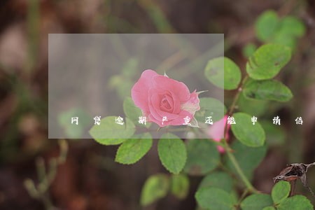网贷逾期严重还能申请信用卡吗 网贷逾期严重还能申请信用卡吗