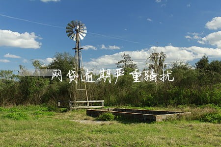 网贷逾期严重骚扰