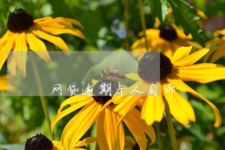 网贷逾期个人自诉 网贷逾期个人自诉