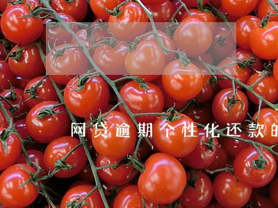 网贷逾期个性化还款的规定 网贷逾期个性化还款的规定