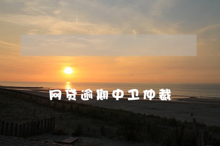 网贷逾期中卫仲裁