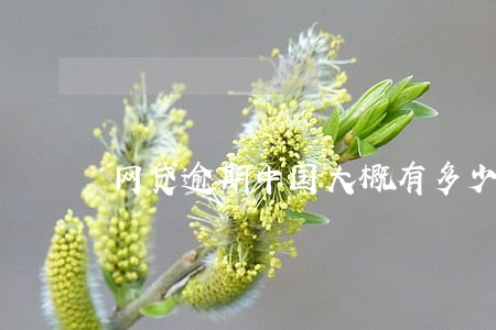 网贷逾期中国大概有多少人 网贷逾期中国大概有多少人