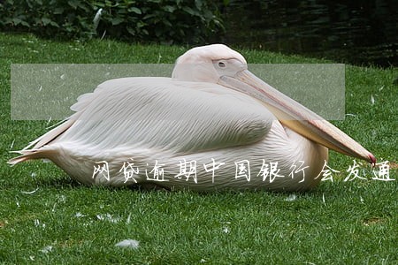 网贷逾期中国银行会发通知吗 网贷逾期中国银行会发通知吗