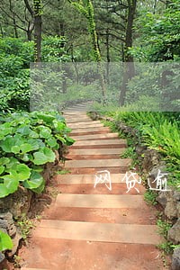 网贷逾期中怎么贷款利率