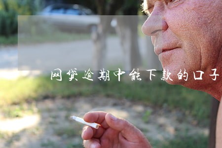 网贷逾期中能下款的口子 网贷逾期中能下款的口子