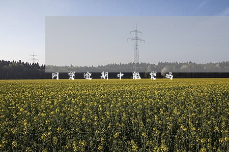 网贷逾期中能贷吗 网贷逾期中能贷吗