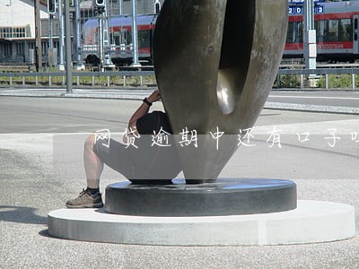 网贷逾期中还有口子吗 网贷逾期中还有口子吗