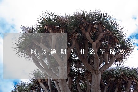 网贷逾期为什么不催款 网贷逾期为什么不催款