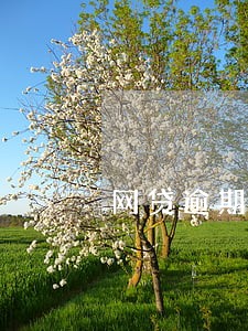 网贷逾期为什么会知道我在哪上班 网贷逾期为什么会知道我在哪上班