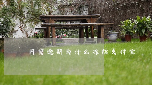 网贷逾期为什么冻结支付宝 网贷逾期为什么冻结支付宝