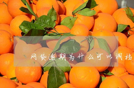 网贷逾期为什么可以调档案 网贷逾期为什么可以调档案