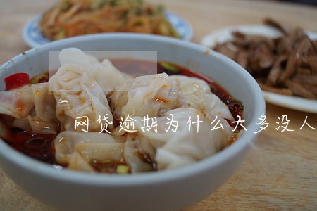 网贷逾期为什么大多没人起诉