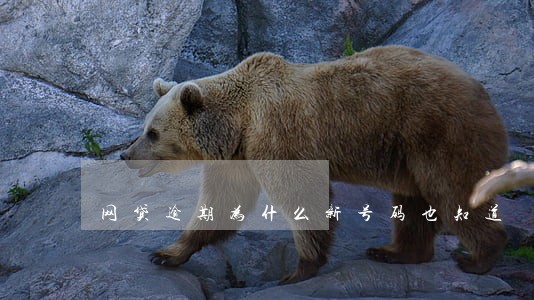 网贷逾期为什么新号码也知道 网贷逾期为什么新号码也知道